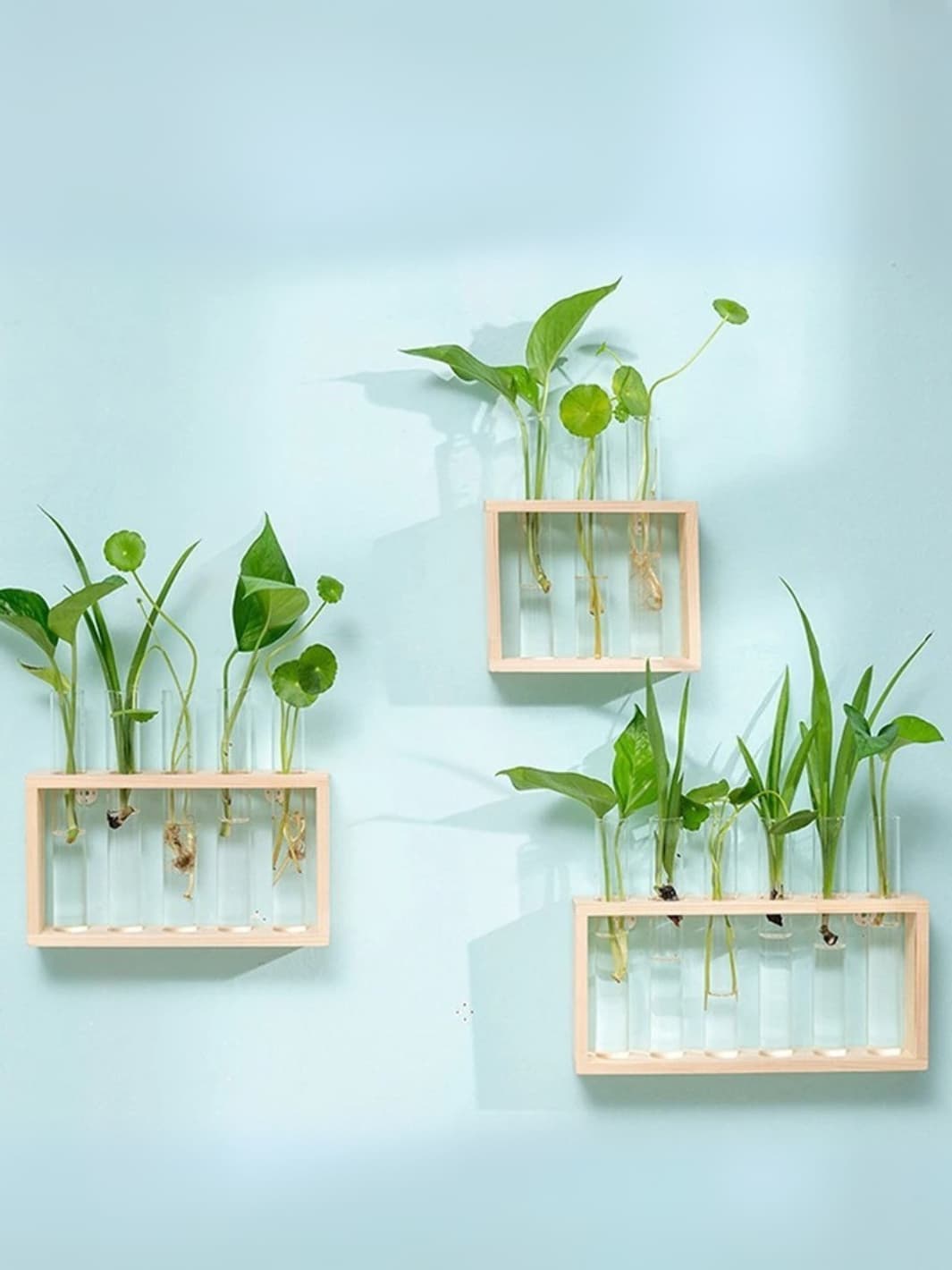 Vase | Éprouvette en bois naturel pour boutures