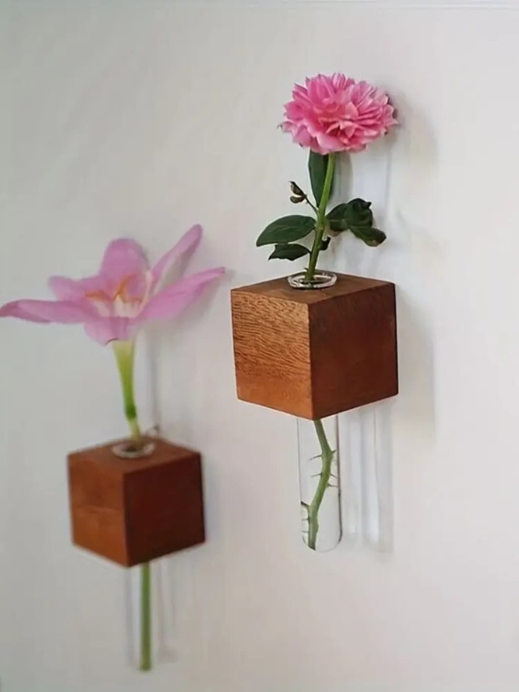 Vase | Tube à essai mural avec base magnétique