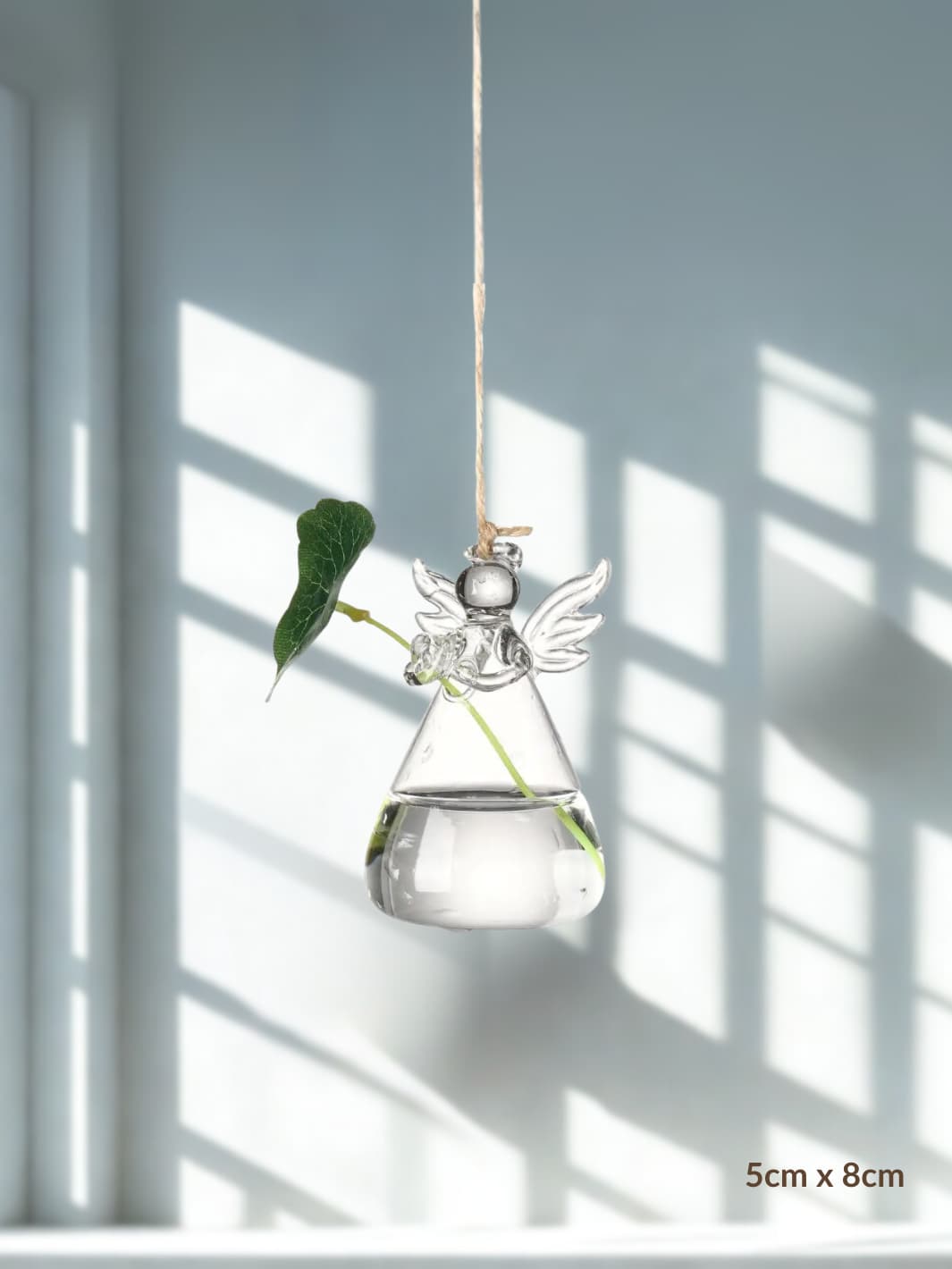 Vase | Suspension en verre transparent pour boutures