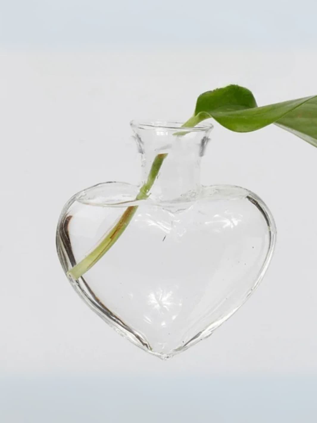 Vase | Soliflore cœur en verre suspendu