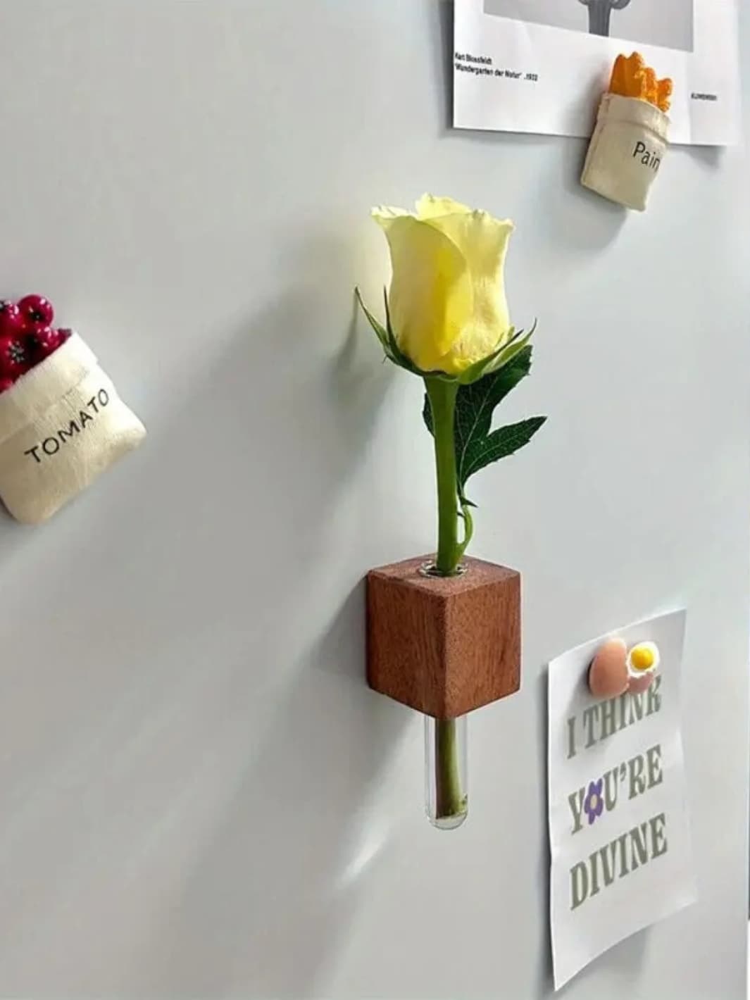 Vase | Tube à essai mural avec base magnétique