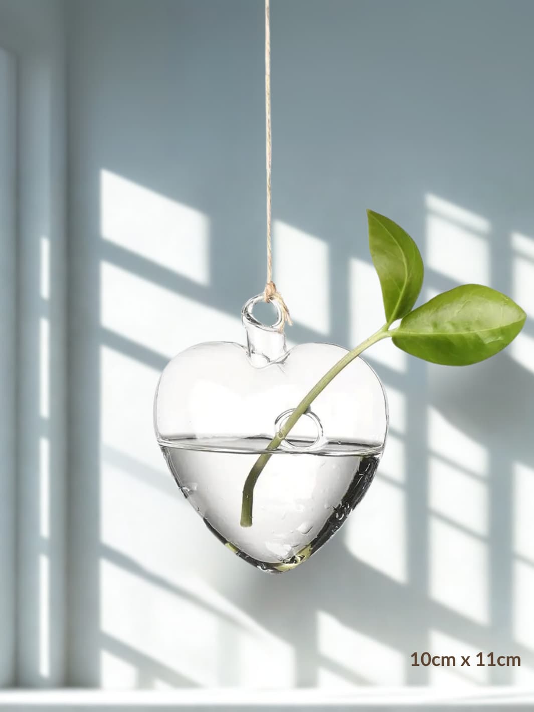 Vase | Suspension en verre transparent pour boutures