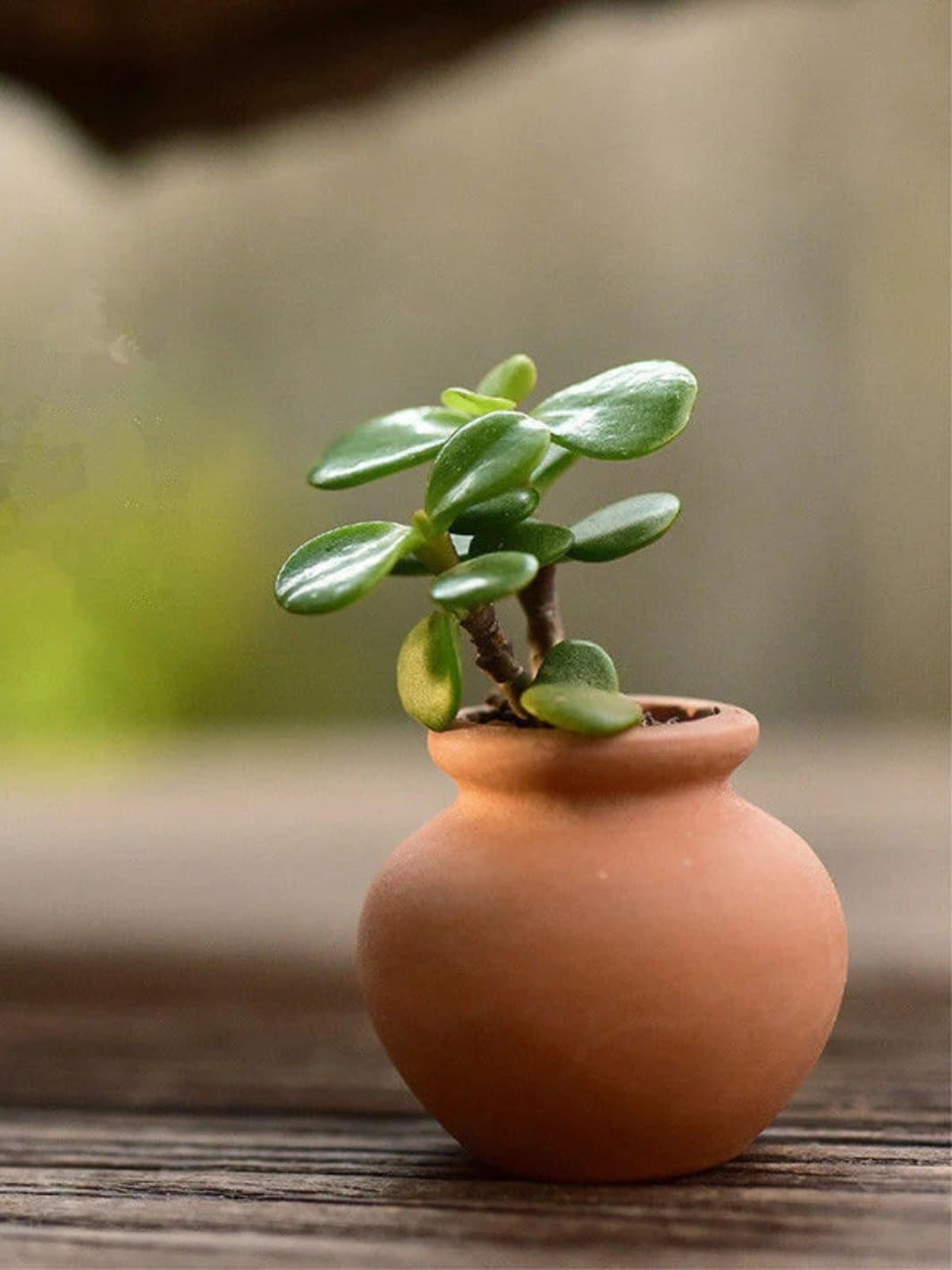 Vase | Miniature terracotta pour maison de poupée