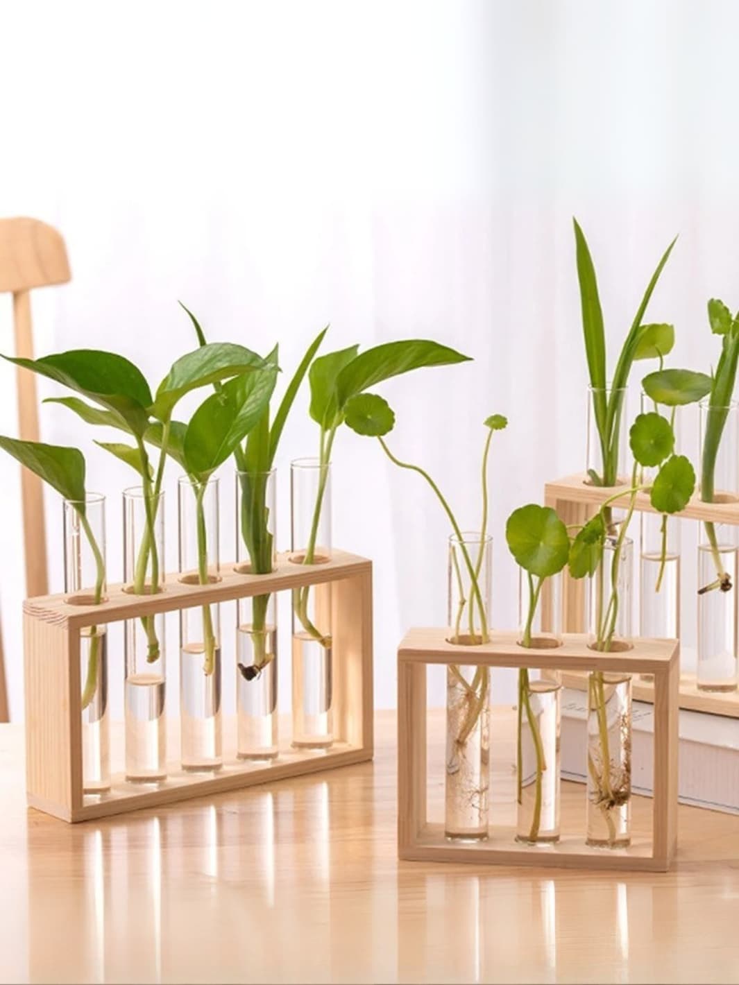 Vase | Éprouvette en bois naturel pour boutures