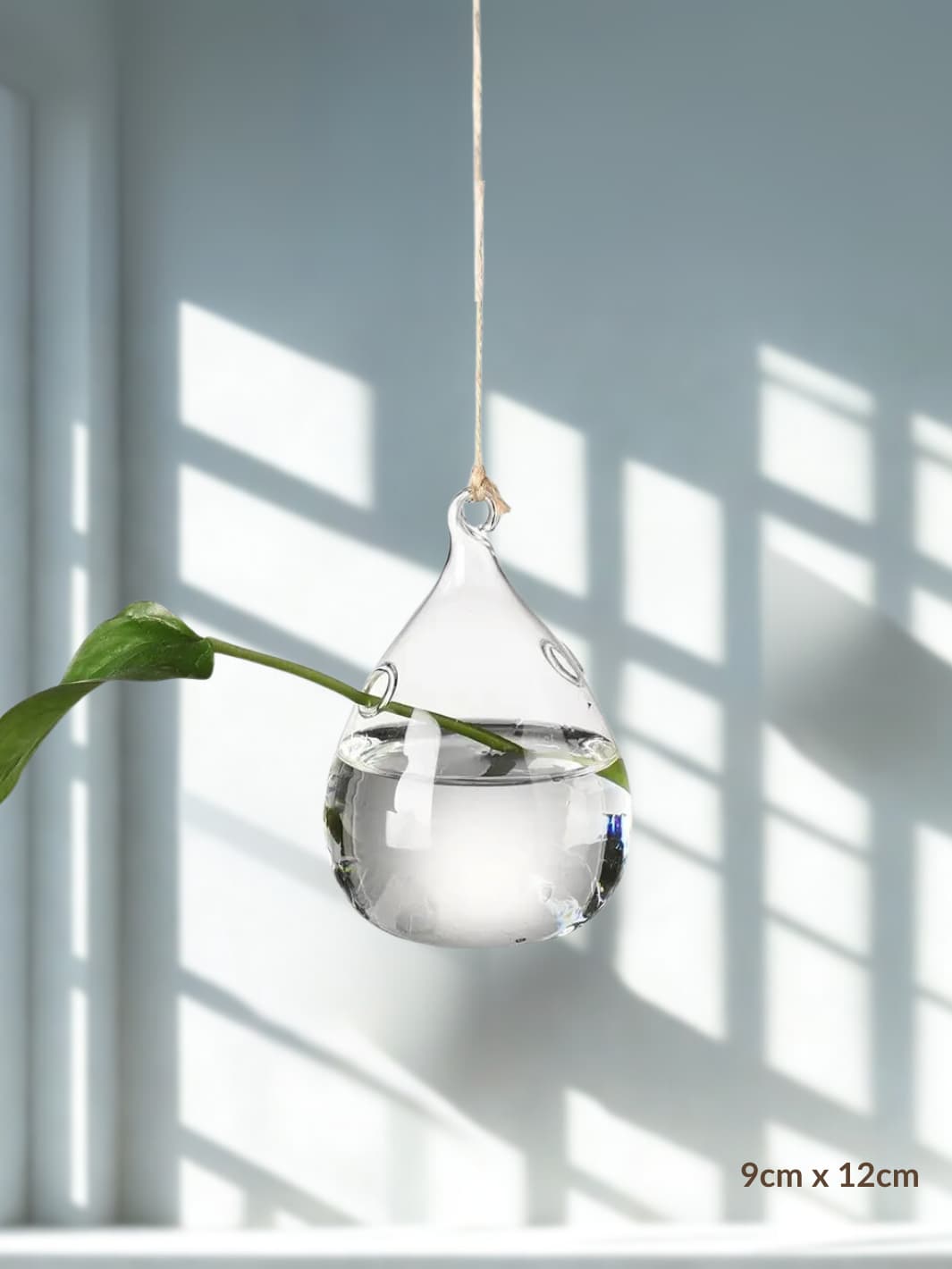 Vase | Suspension en verre transparent pour boutures