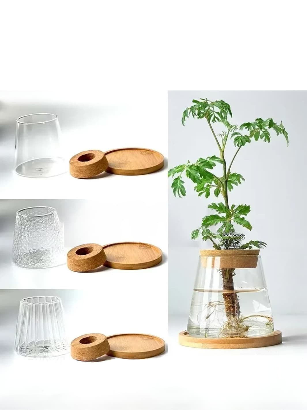 Vase | Support de culture hydroponique en verre et bois
