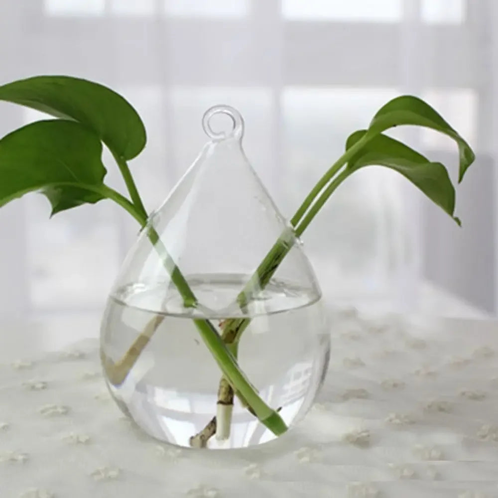 Vase | Pot en verre transparent plantes aquatiques