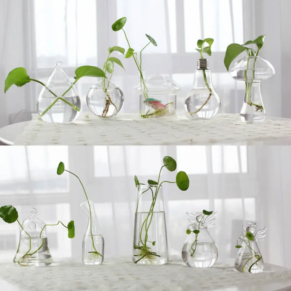 Vase | Pot en verre transparent plantes aquatiques