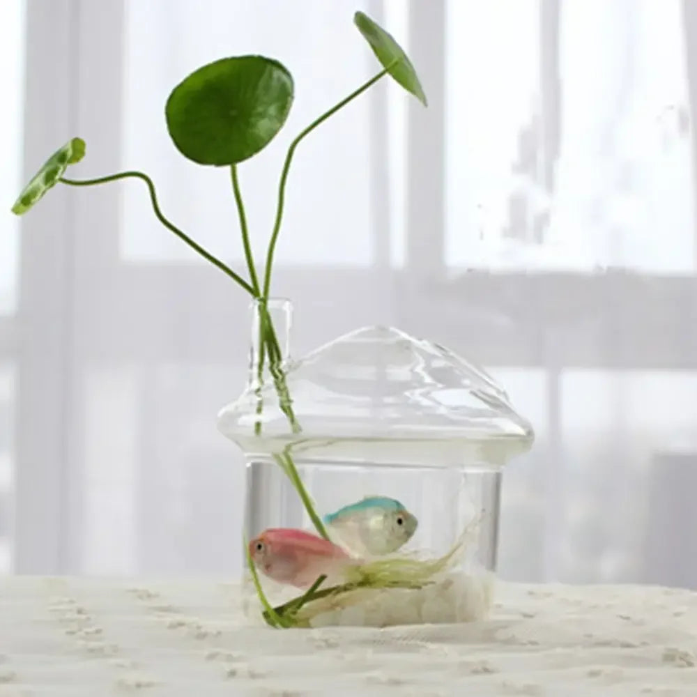 Vase | Pot en verre transparent plantes aquatiques