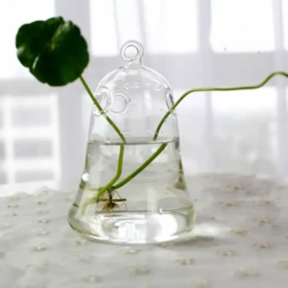 Vase | Pot en verre transparent plantes aquatiques