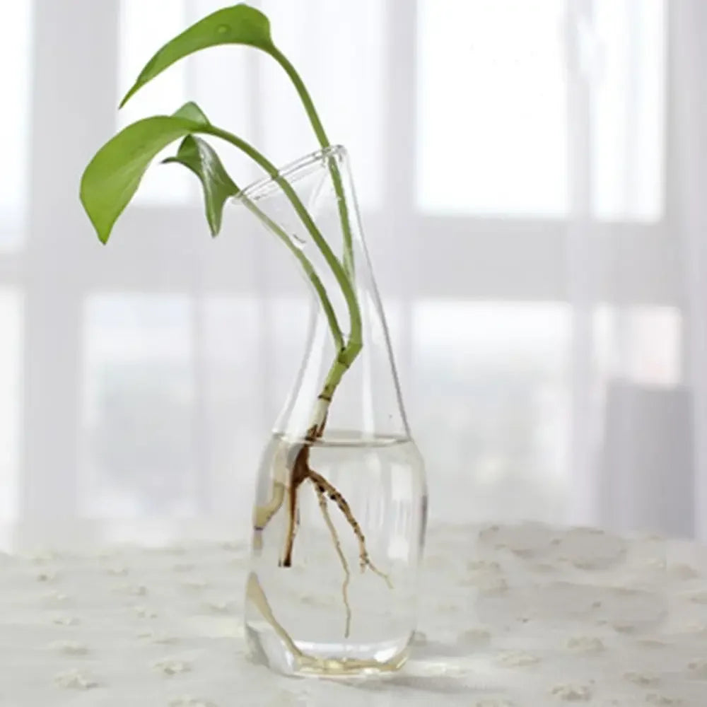 Vase | Pot en verre transparent plantes aquatiques