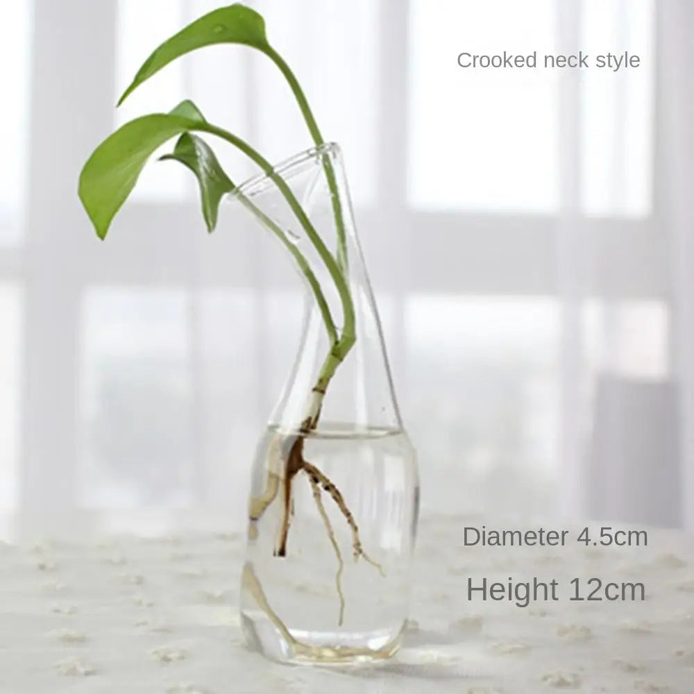 Vase | Pot en verre transparent plantes aquatiques