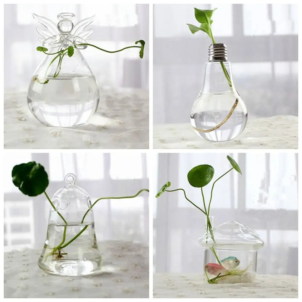 Vase | Pot en verre transparent plantes aquatiques