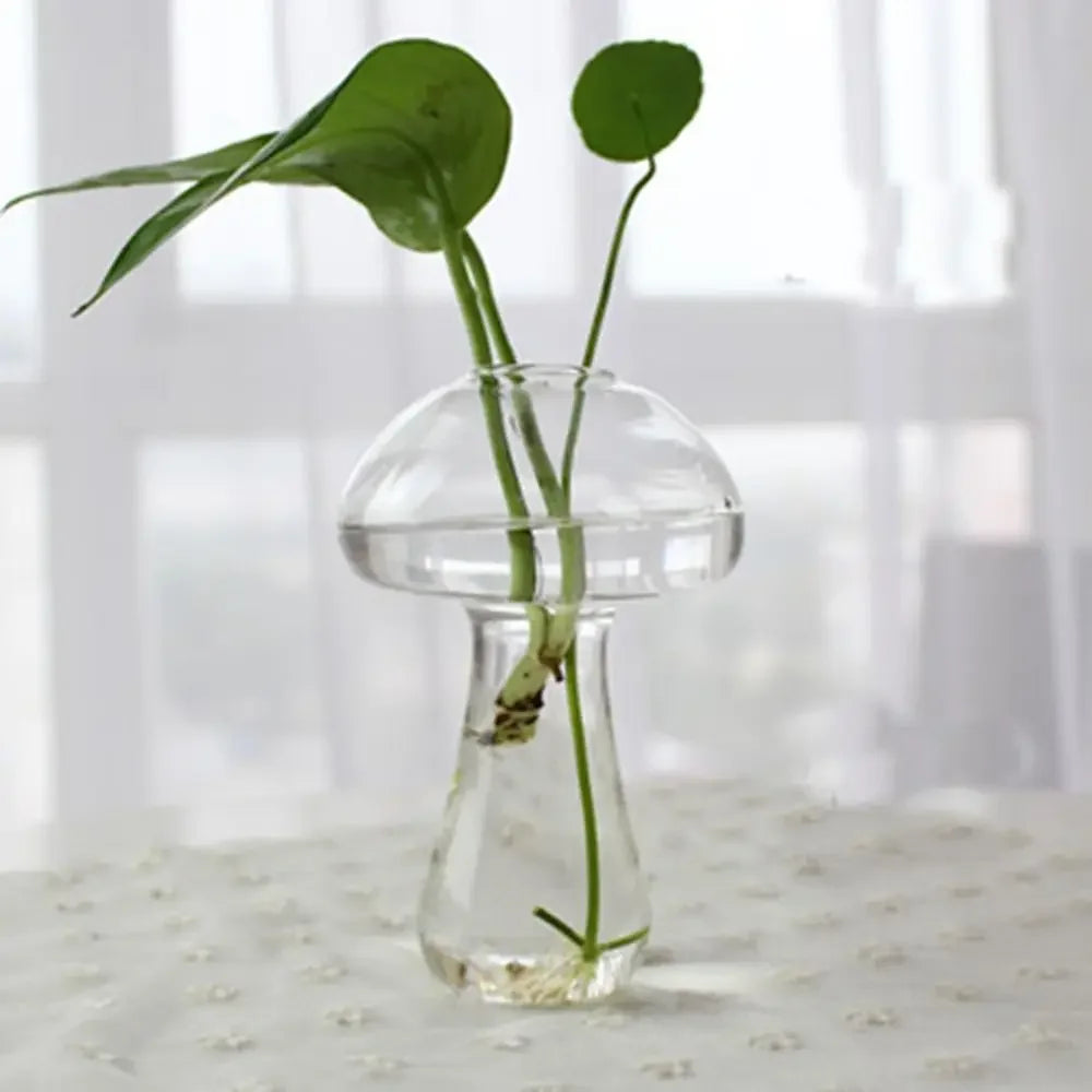 Vase | Pot en verre transparent plantes aquatiques