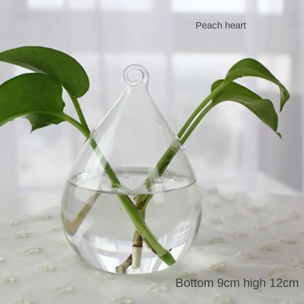 Vase | Pot en verre transparent plantes aquatiques